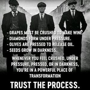 Meet your Posher, Lynn